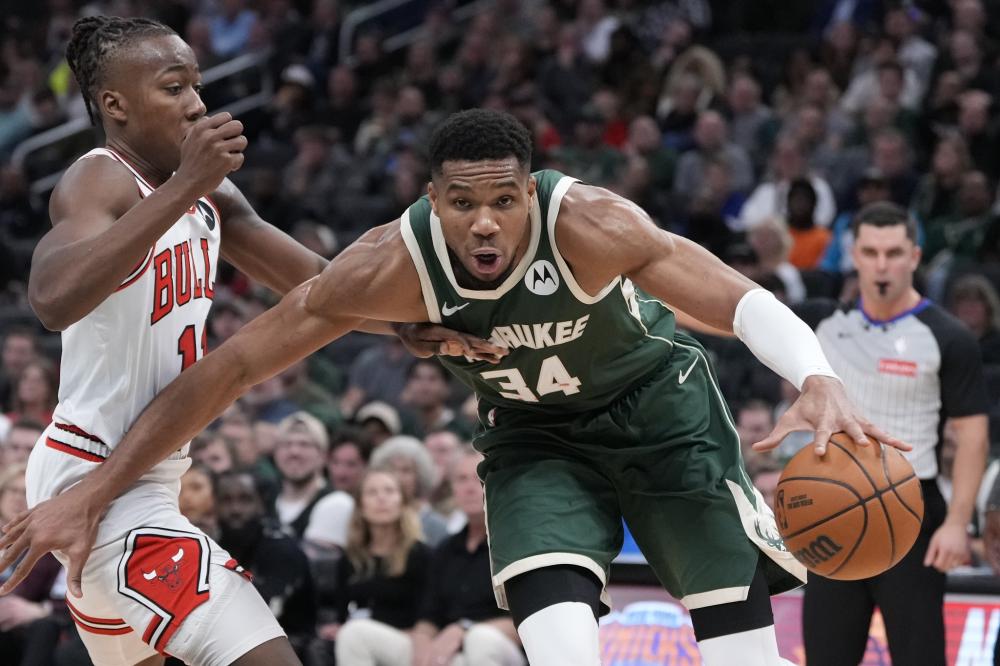 的霍芬海姆 的霍芬海姆