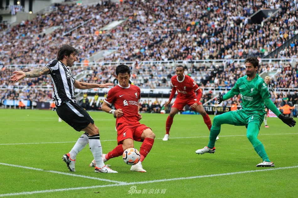 历史数据表 历史数据表